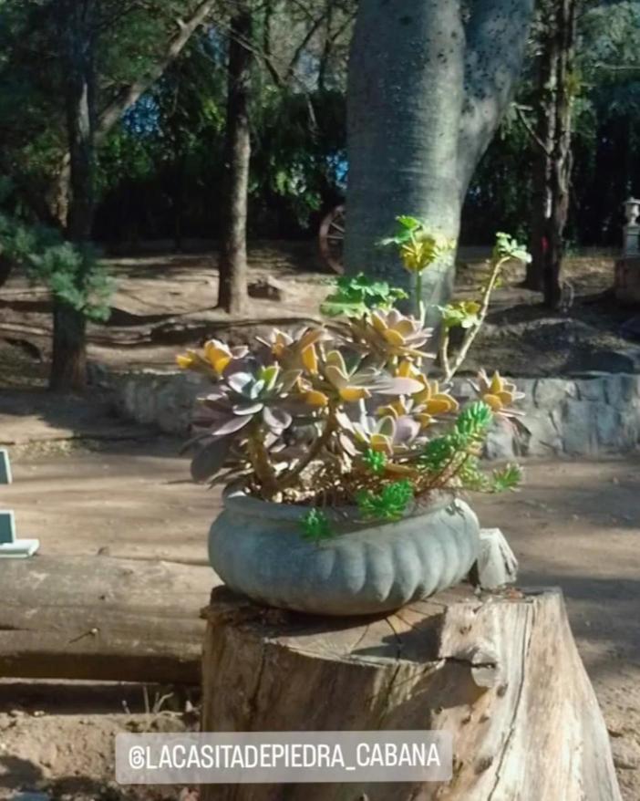 Holiday home Lacasitadepiedra_cabana Unquillo