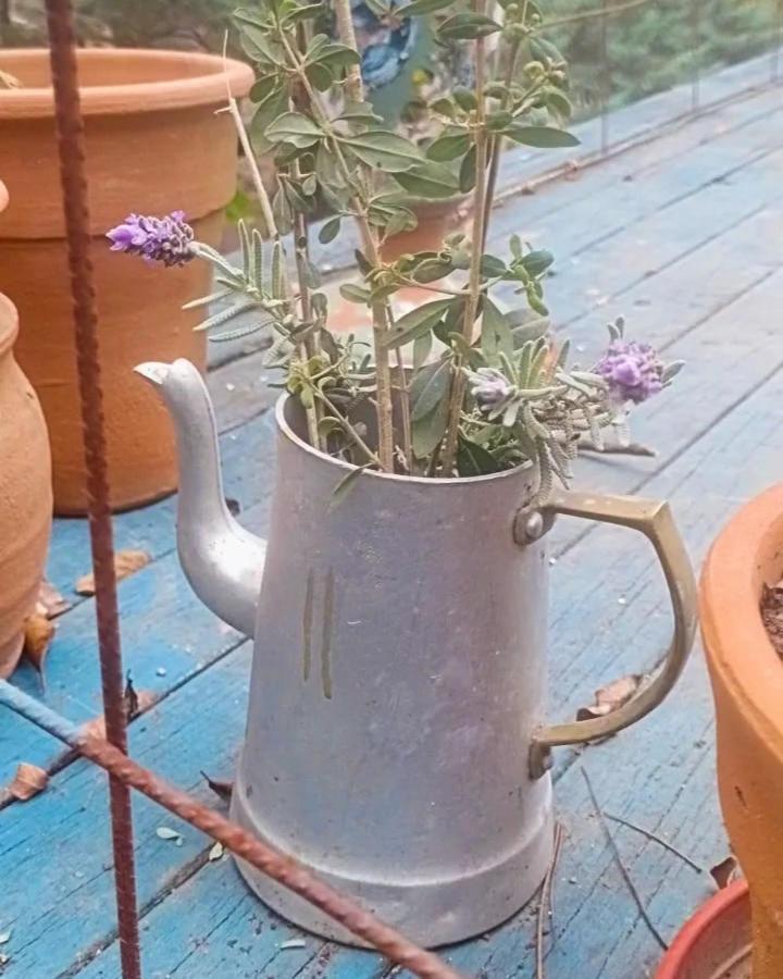Lacasitadepiedra_cabana *